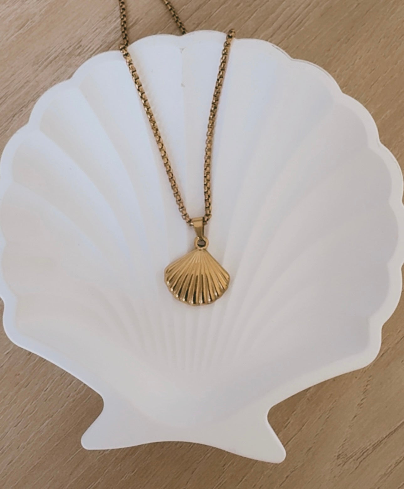 Golden Sea Shell